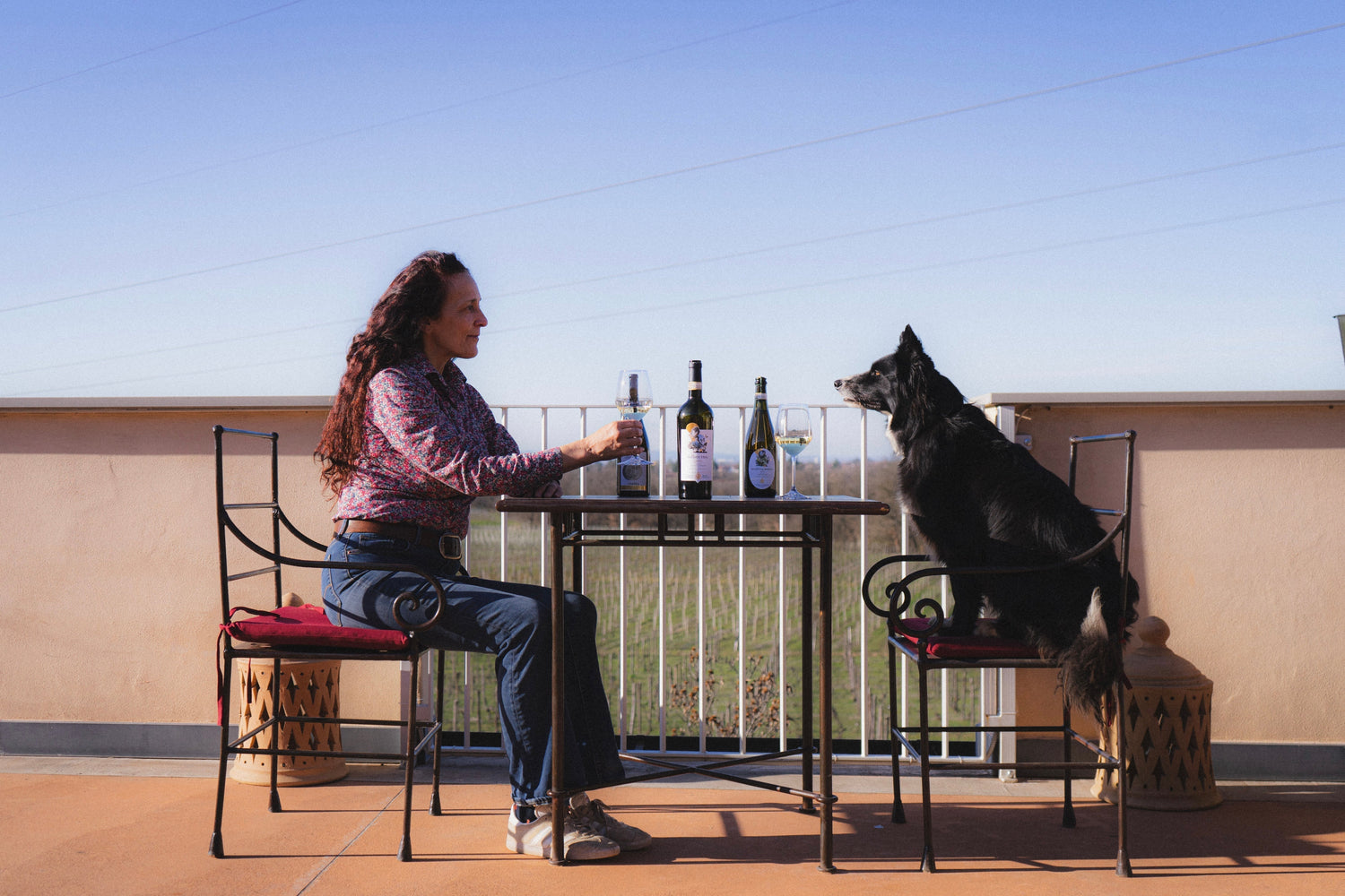 L'essenza autentica del Gavi, un incontro tra tradizione e innovazione vinicola