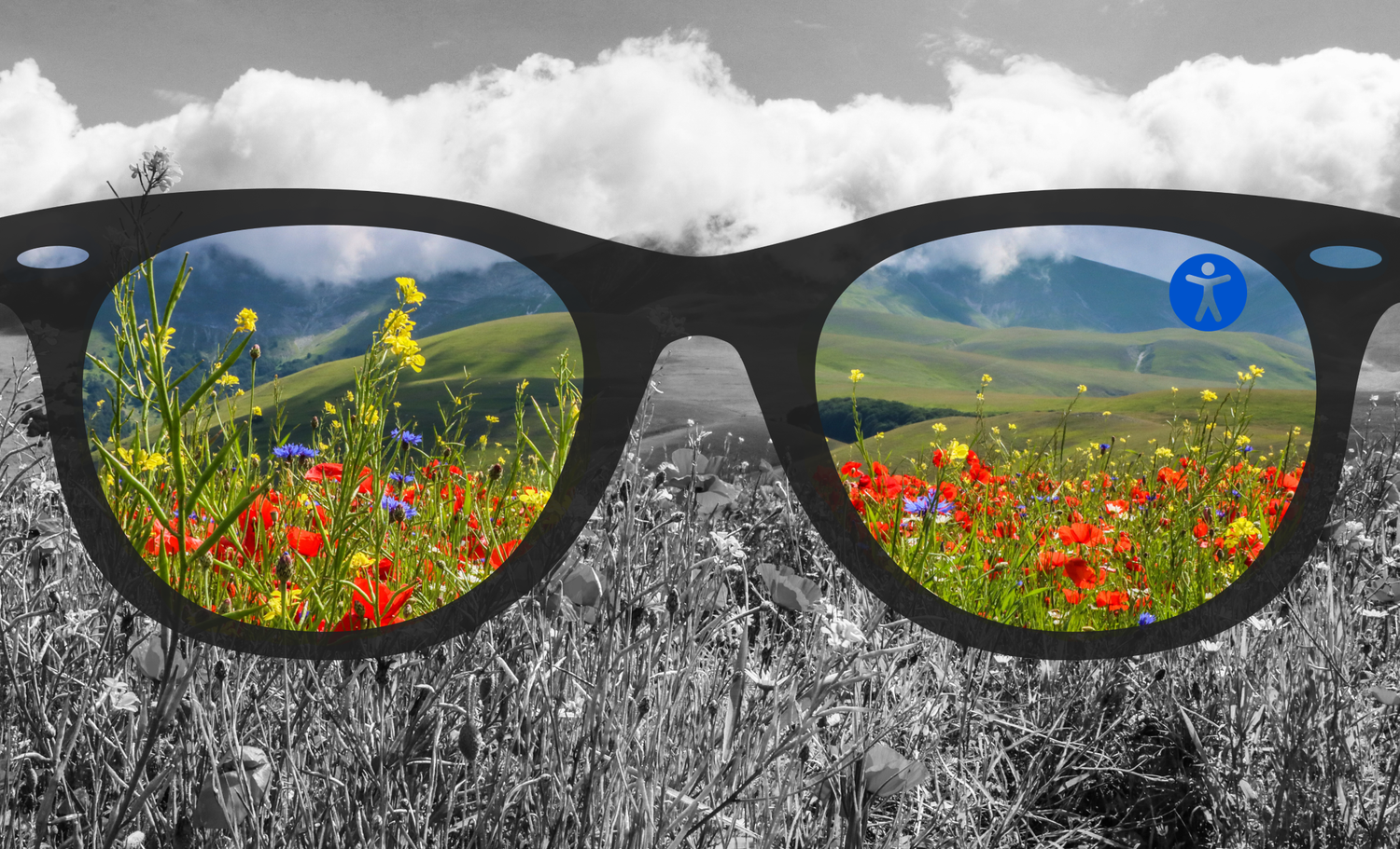 Il Web e il benessere dovrebbero essere di tutti