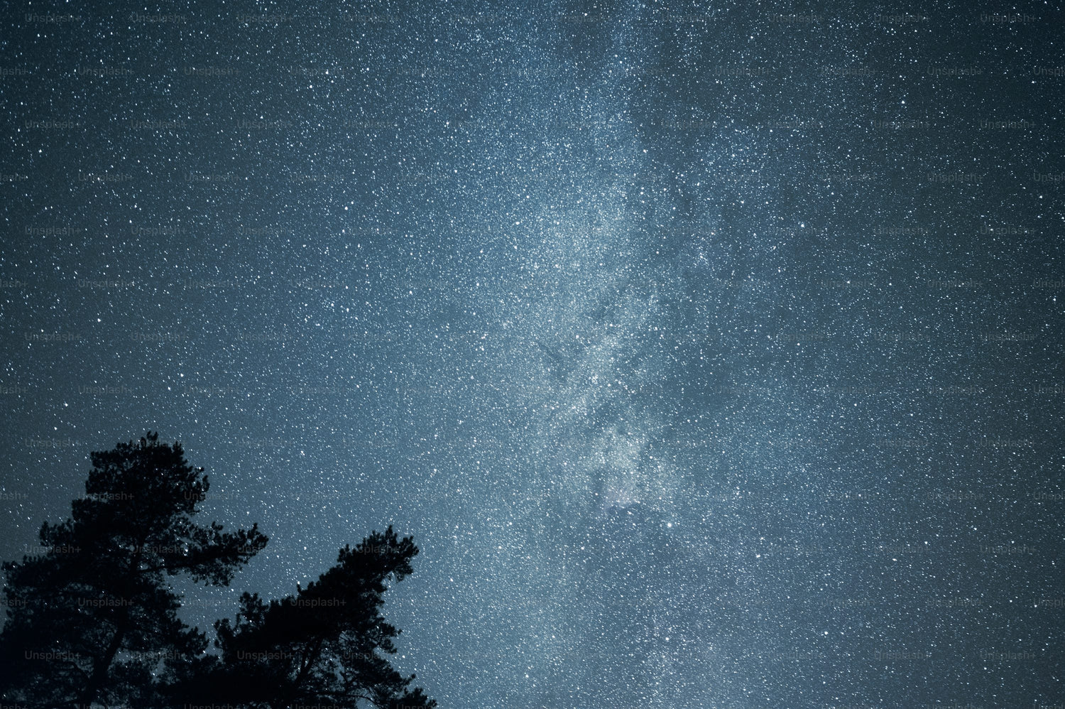 Lo Zodiaco in valigia