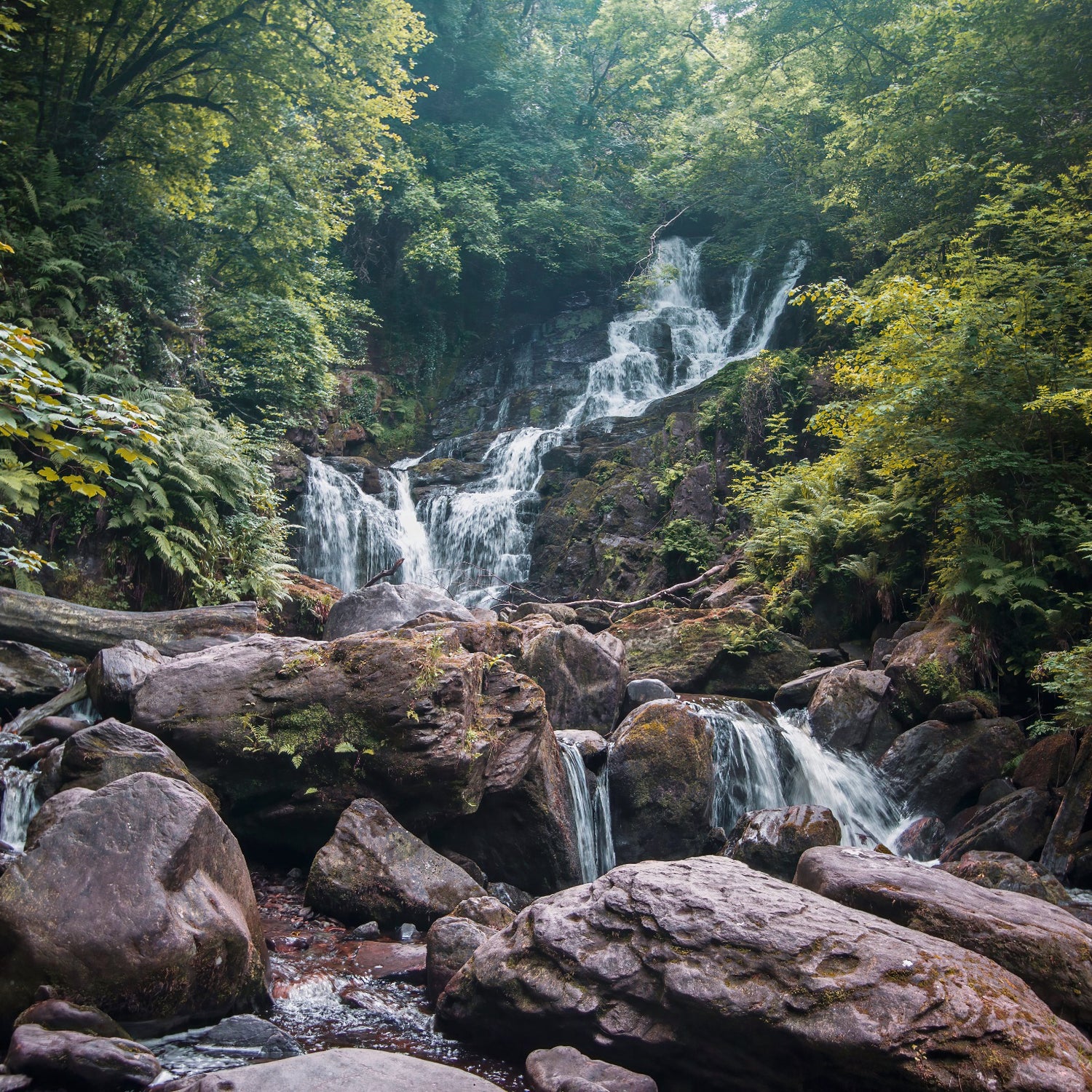 Le proprietà dell'acqua dolomitica e...